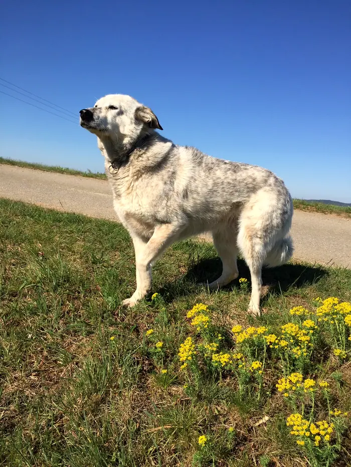Arizona, Foto 5