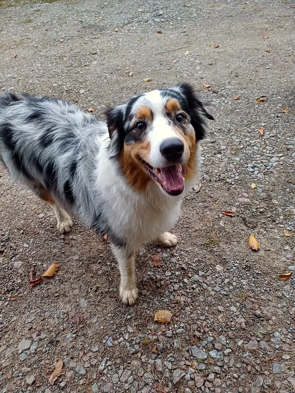 Balu, Foto 4