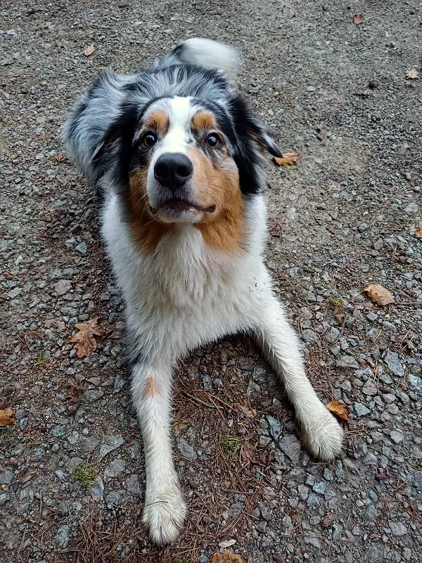 Balu, Foto 6