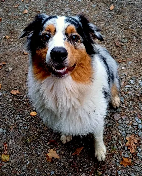 Balu, Foto 7