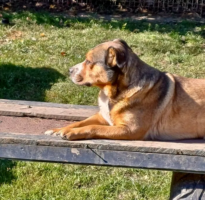 Lilly, Foto 6