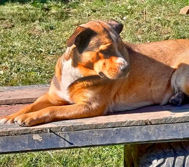 Lilly, Foto 10