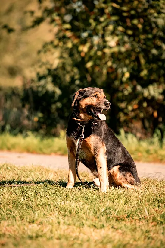 Lucky, Foto 3