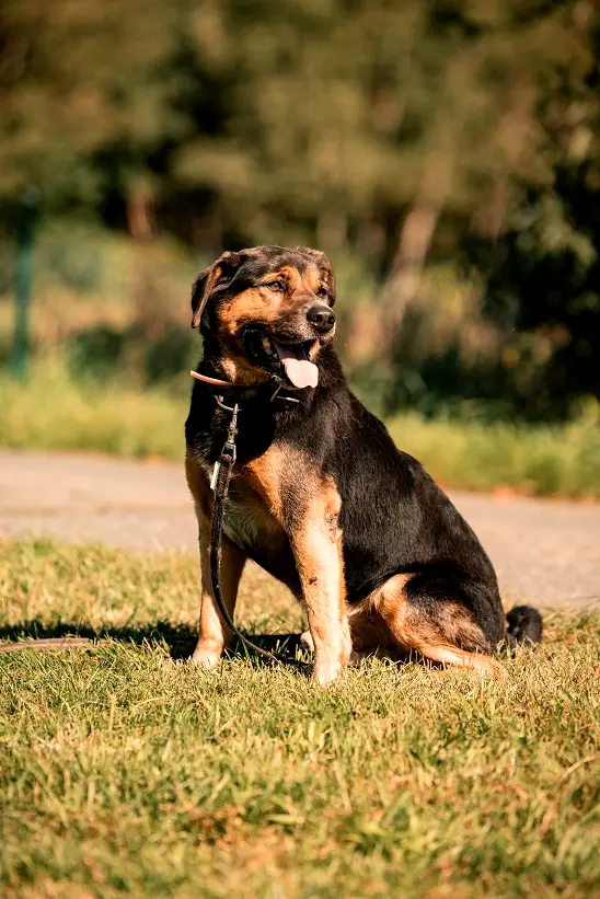 Lucky, Foto 6