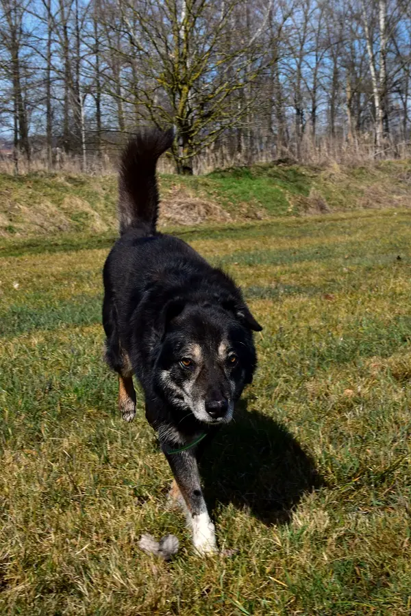 Max, Foto 4