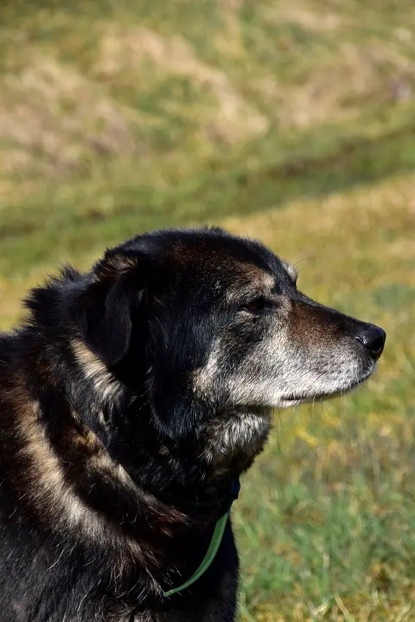 Max, Foto 5