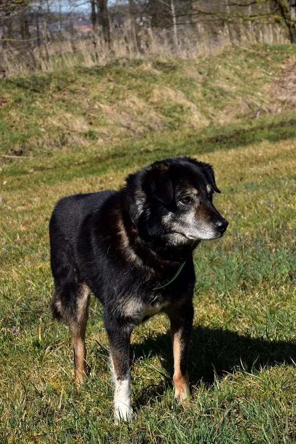 Max, Foto 6