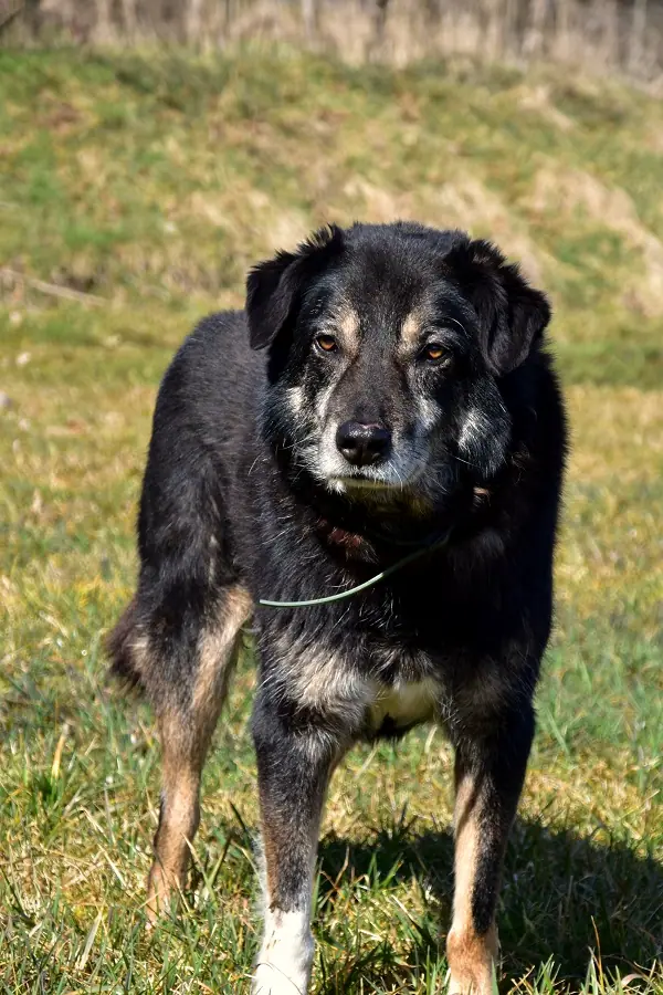 Max, Foto 7