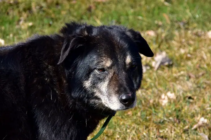Max, Foto 8