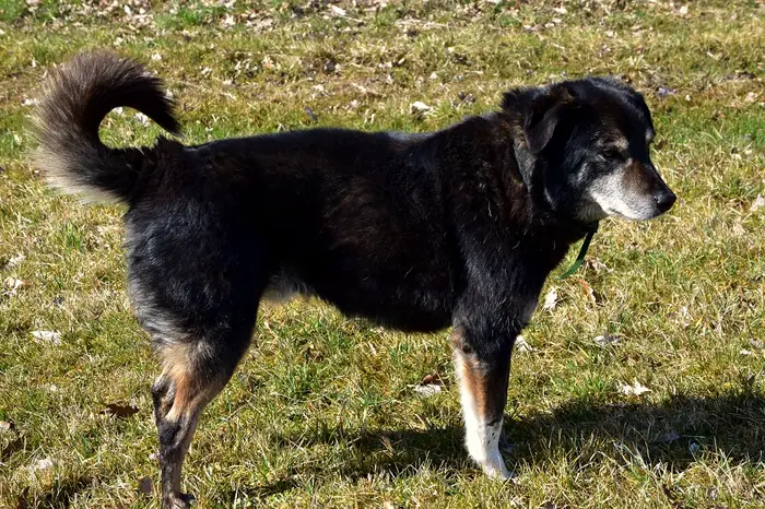 Max, Foto 9