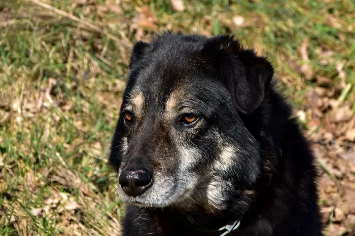 Max, Foto 10