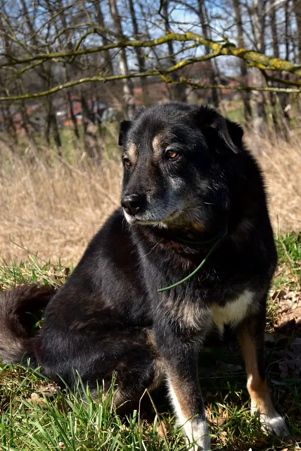 Max, Foto 11
