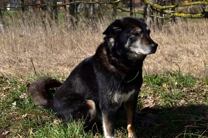 Max, Foto 12