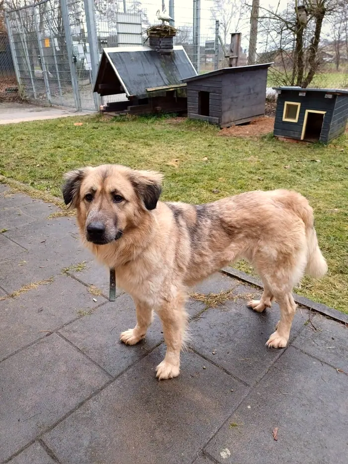 Sally, Foto 1