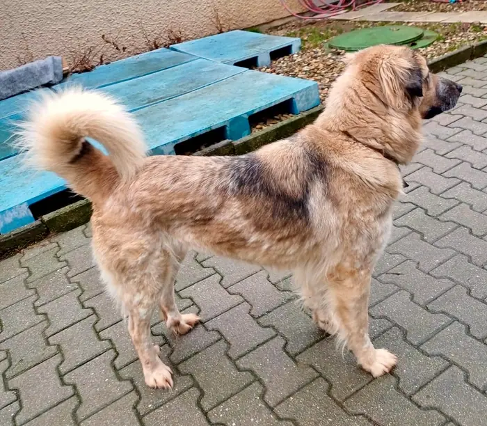Sally, Foto 2