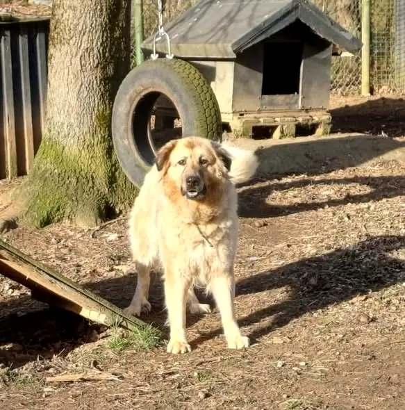 Sally, Foto 11