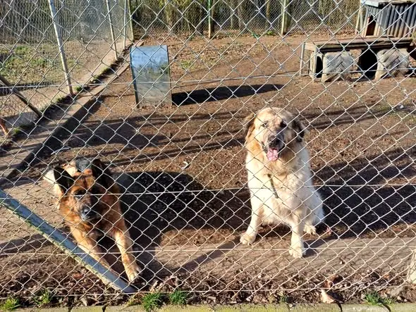 Sally, Foto 12