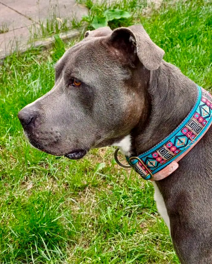 Suge, Foto 3