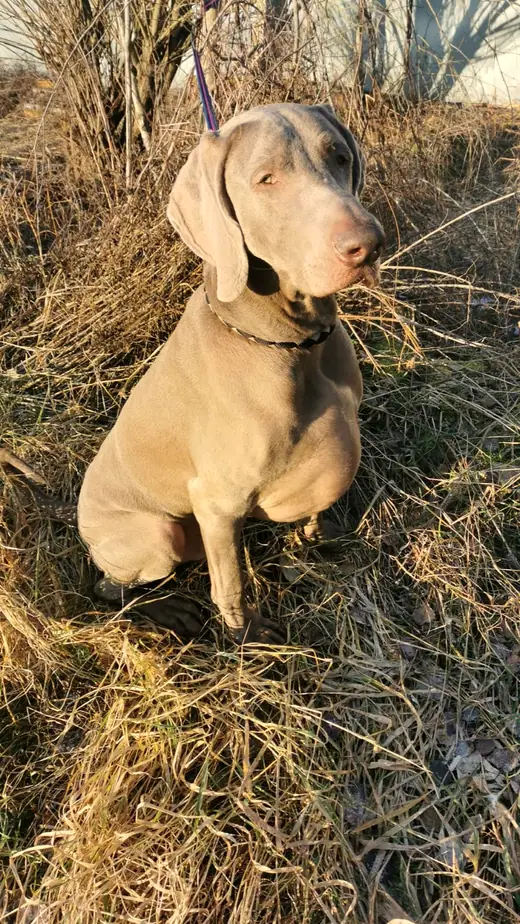 Sunny