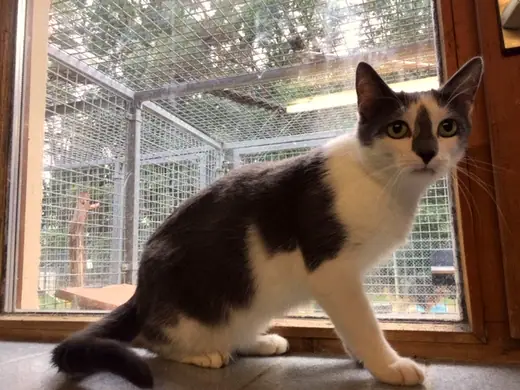 Mimi