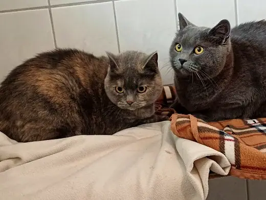 Nono und Bärle