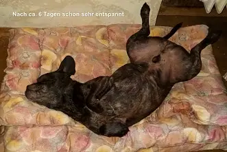Foto aus dem neuen Zuhause