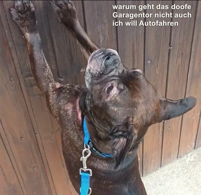 Foto aus dem neuen Zuhause