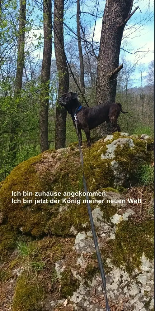 Foto aus dem neuen Zuhause