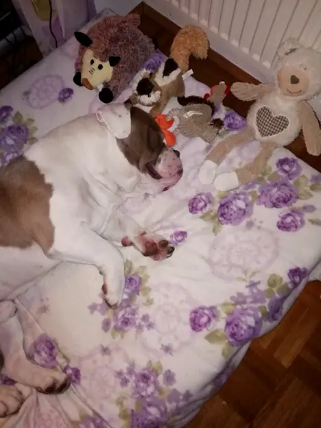 Foto aus dem neuen Zuhause