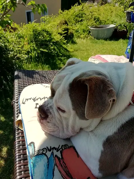 Foto aus dem neuen Zuhause