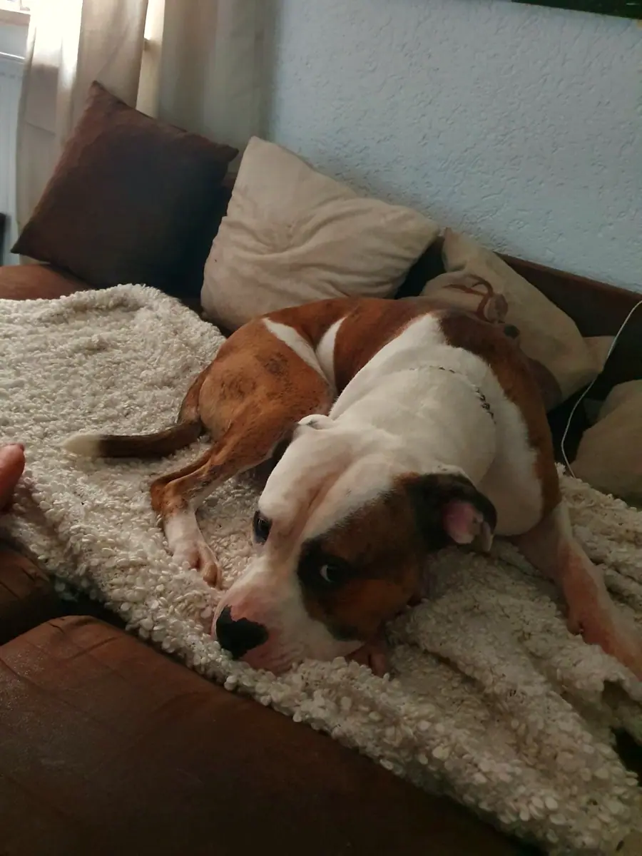 Foto aus dem neuen Zuhause