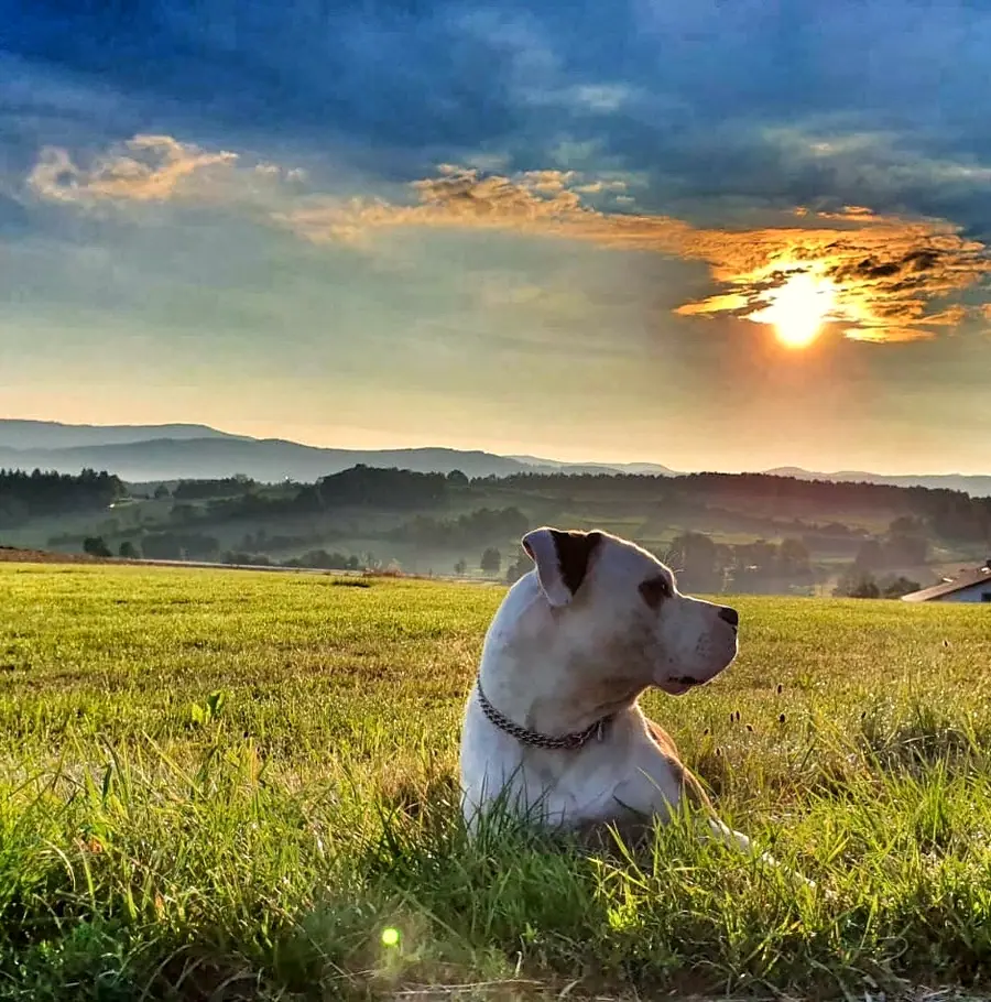 Foto aus dem neuen Zuhause
