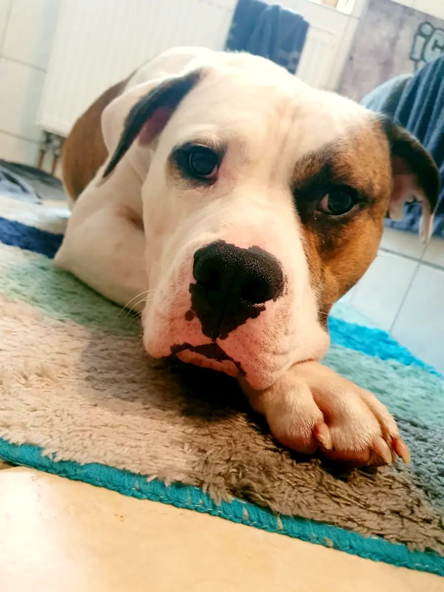 Foto aus dem neuen Zuhause