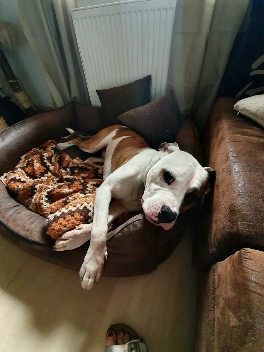 Foto aus dem neuen Zuhause