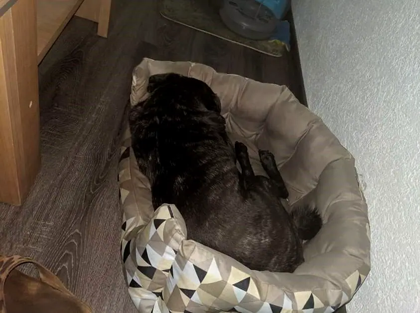 Foto aus dem neuen Zuhause