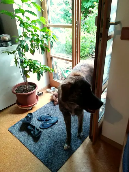 Foto aus dem neuen Zuhause