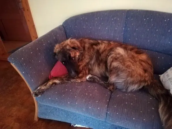 Foto aus dem neuen Zuhause