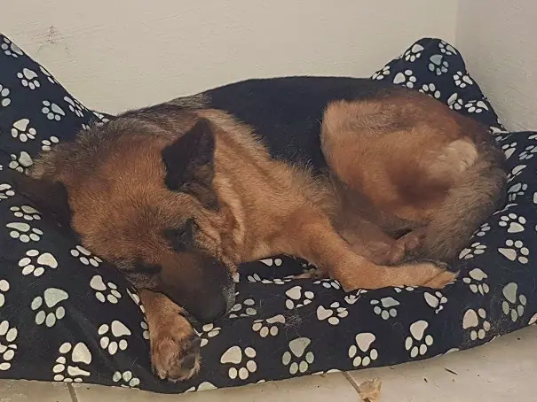 Foto aus dem neuen Zuhause