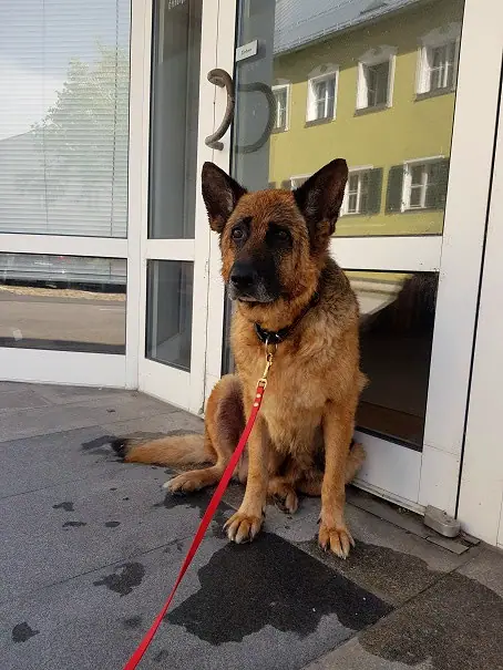 Foto aus dem neuen Zuhause
