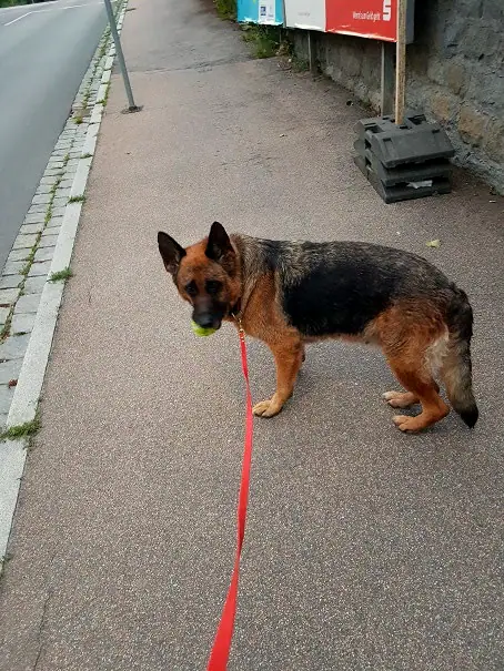 Foto aus dem neuen Zuhause