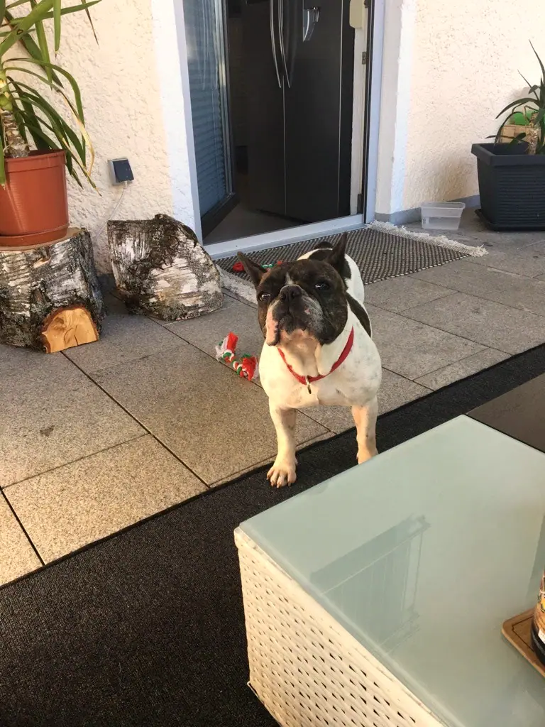 Foto aus dem neuen Zuhause