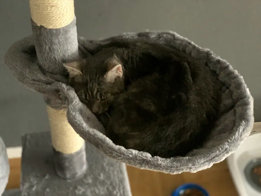 Foto aus dem neuen Zuhause