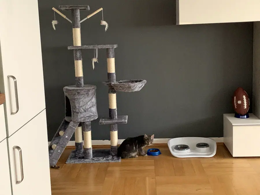 Foto aus dem neuen Zuhause
