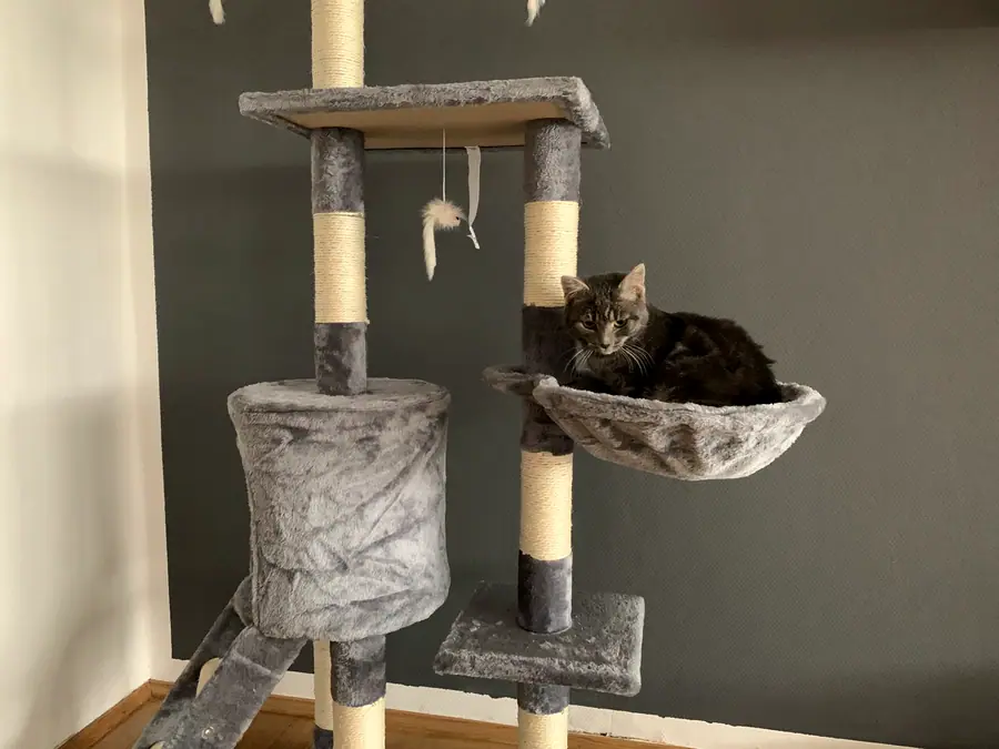 Foto aus dem neuen Zuhause