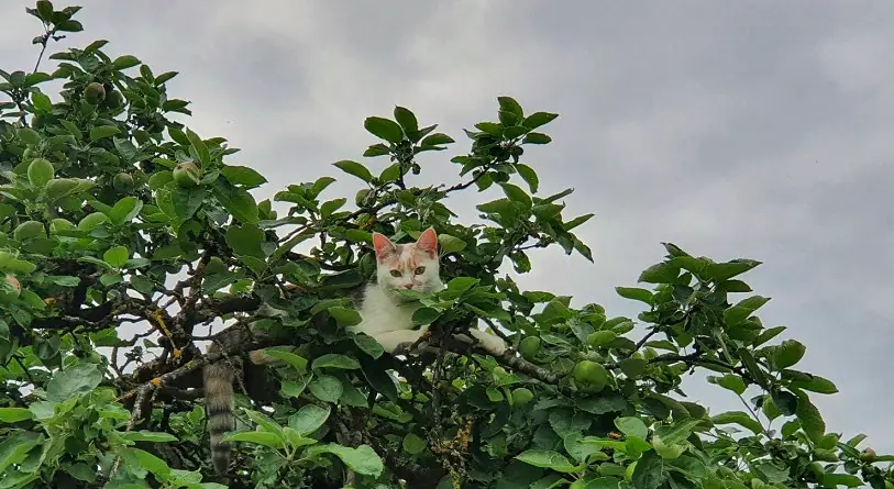 Foto aus dem neuen Zuhause
