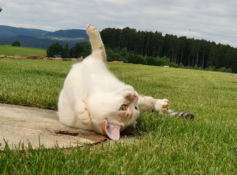 Foto aus dem neuen Zuhause