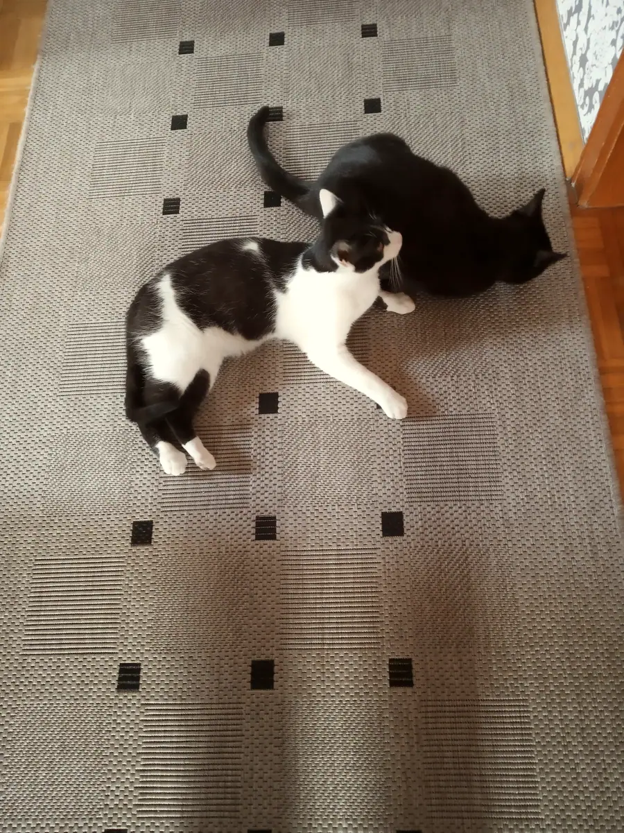 Foto aus dem neuen Zuhause