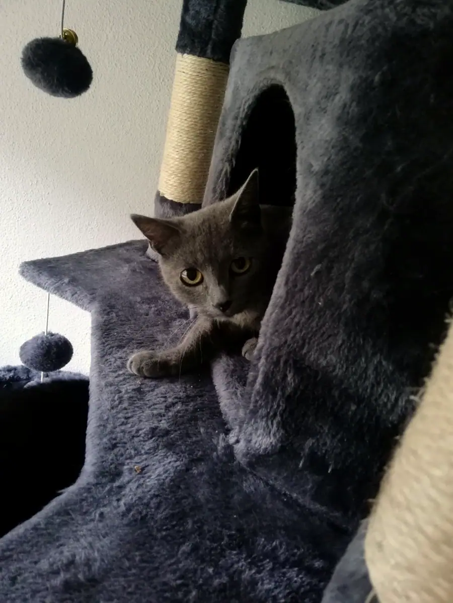 Foto aus dem neuen Zuhause