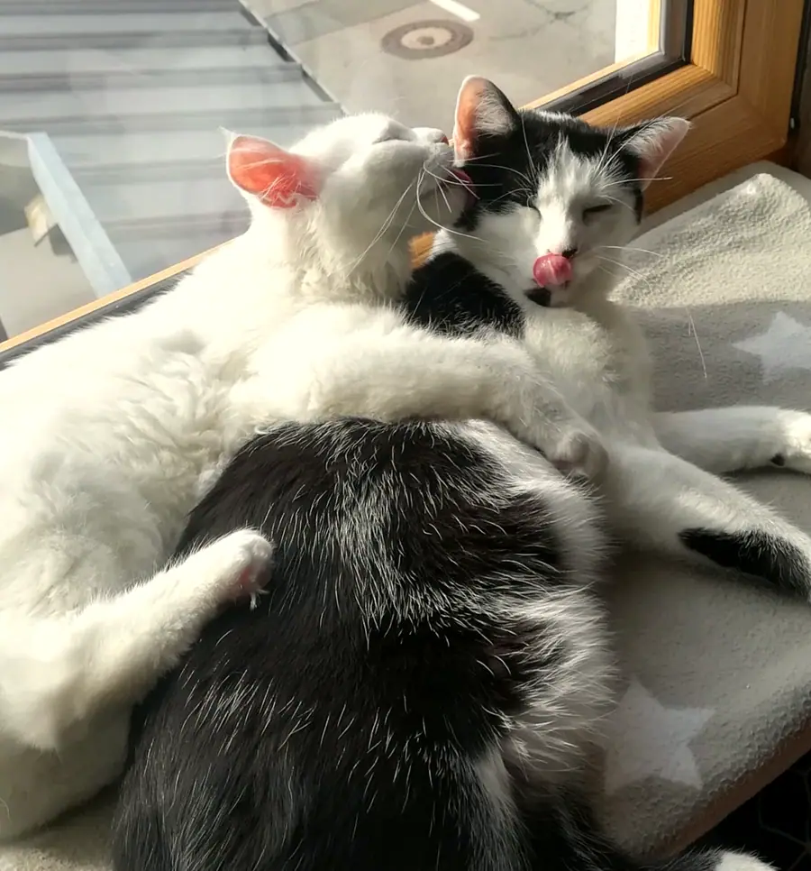 Foto aus dem neuen Zuhause