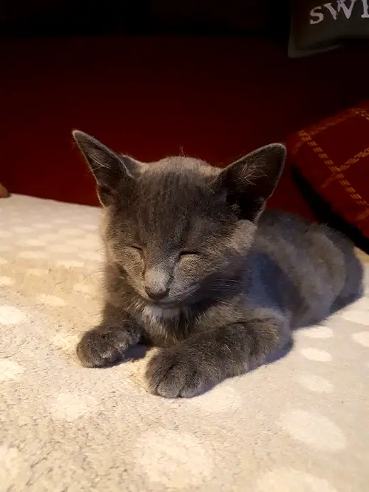 Foto aus dem neuen Zuhause